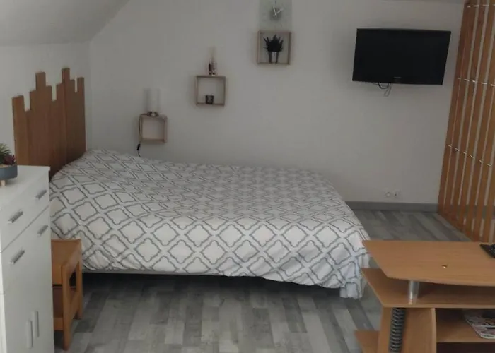Appartement Cosy + Acces Jardin Et Salle De Muscu